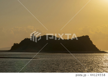 屋外 室外 自然 44124558