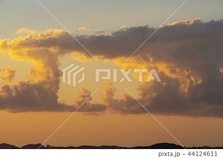 屋外 室外 自然 44124611