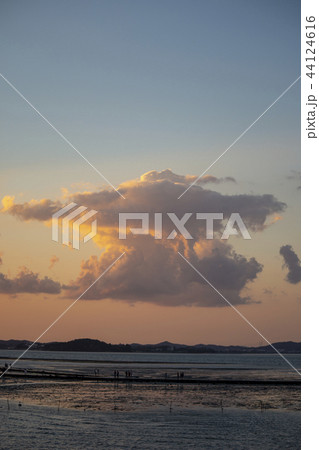 屋外 室外 自然 44124616