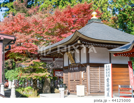 高尾山 高尾山薬王院 大師堂(大本堂境内) 高尾山 高尾山薬王院 大師堂(大本堂境内) 44125000