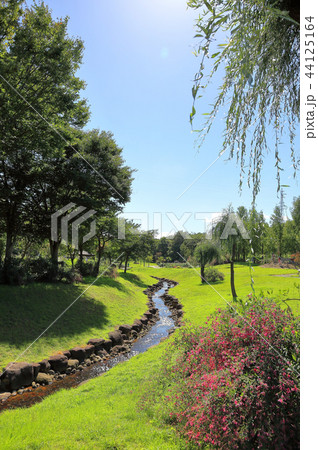 やまがた西川ダリヤ園 やまがた西川ダリヤ園 44125164
