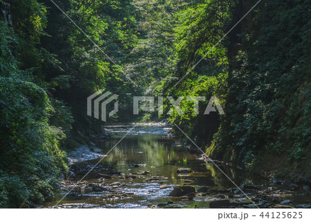 夏の養老渓谷の弘文洞跡の風景 44125625