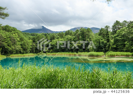 るり沼 五色沼 裏磐梯 るり沼 五色沼 裏磐梯 44125636