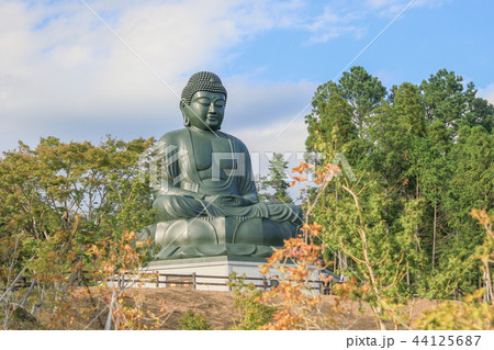 鹿野(ろくや)大仏 初秋 日の出町 鹿野(ろくや)大仏 初秋 日の出町 44125687