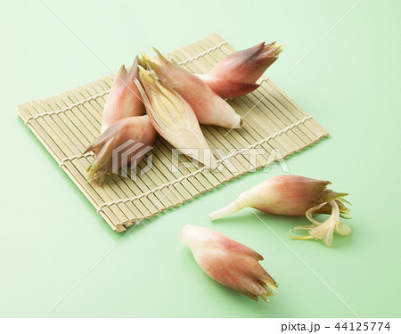 ミョウガ 44125774