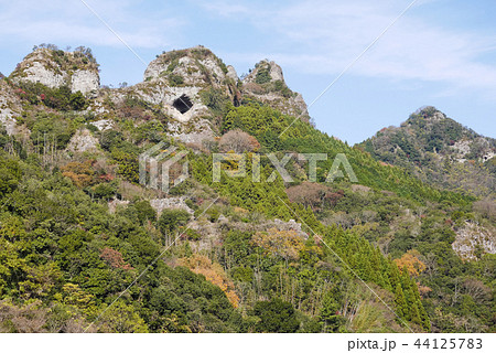 大分 大分 44125783