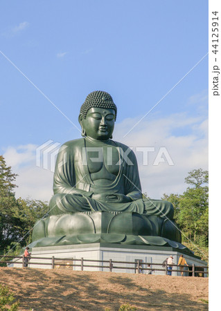 鹿野(ろくや)大仏 初秋 日の出町 鹿野(ろくや)大仏 初秋 日の出町 44125914