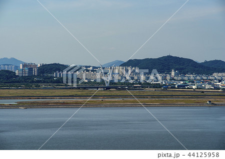 松島 延寿 仁川 44125958