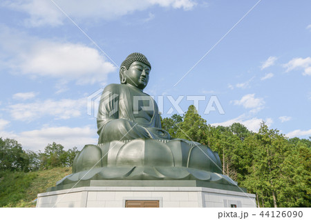 鹿野（ろくや）大仏　初秋　日の出町 44126090