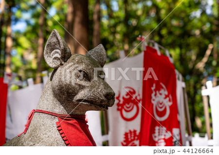 （愛知県）豊川稲荷　千本幟と狐像 44126664