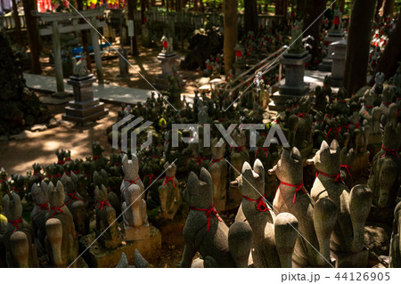 （愛知県）豊川稲荷　霊狐塚 44126905