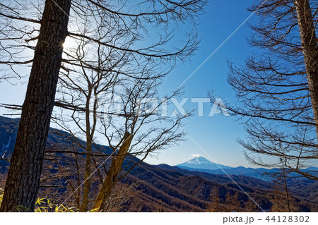 大菩薩・石丸峠への登りから見る富士山 44128302