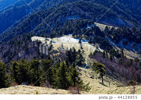 大菩薩連嶺・狼平の草原 44128955
