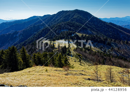 大菩薩連嶺・狼平の草原と小金沢山 44128956
