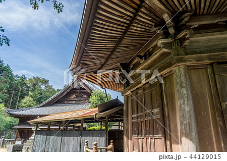 法蔵寺427 法蔵寺427 44129015