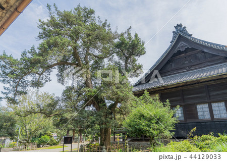 法蔵寺360 法蔵寺360 44129033