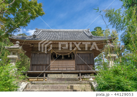 真福寺247 真福寺247 44129053