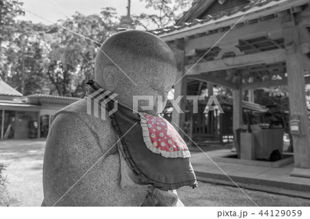 真福寺219 真福寺219 44129059