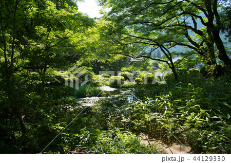 新緑の吉水園 新緑の吉水園 44129330