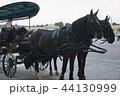 【ウイーン】シェーンブルン宮殿前の馬車 44130999