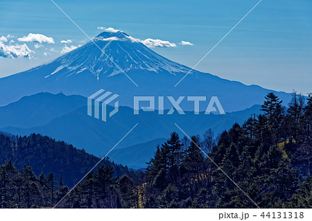 冬の大菩薩連嶺・小金沢山から見る富士山 冬の大菩薩連嶺・小金沢山から見る富士山 44131318