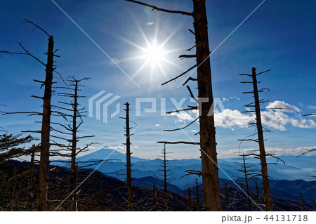 大菩薩連嶺・牛奥ノ雁ヶ腹摺山から見る富士山 大菩薩連嶺・牛奥ノ雁ヶ腹摺山から見る富士山 44131718