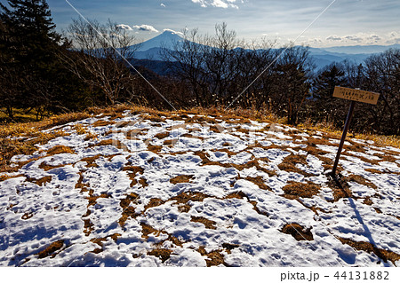 大菩薩連嶺・川胡桃沢ノ頭から見る富士山 44131882