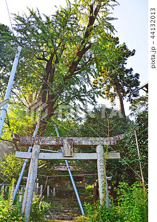 大山祇神社 44132013
