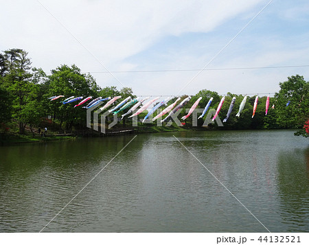 まんのう公園のこいのぼり 44132521