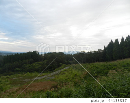 服掛松キャンプ場 44133357