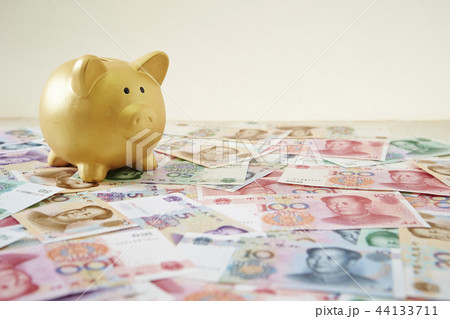 中国の人民元と金色の豚の貯金箱 中国の人民元と金色の豚の貯金箱 44133711