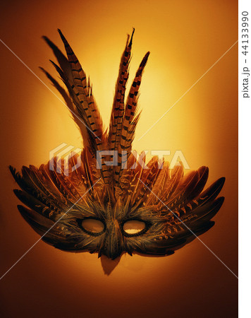 bird Carnaval Mask Wall  44133990
