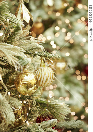 クリスマスツリー クリスマスツリー 44134285