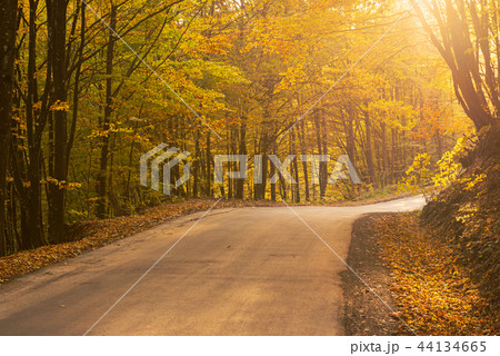 Beautiful autumn landscape Beautiful autumn landscape 44134665