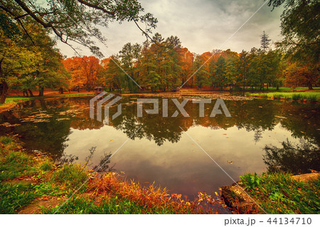 Beautiful autumn landscape 44134710