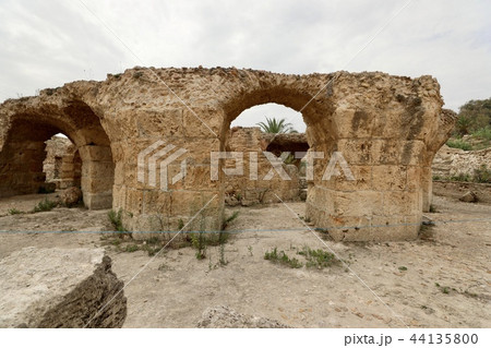 チュニジア・チュニス 44135800