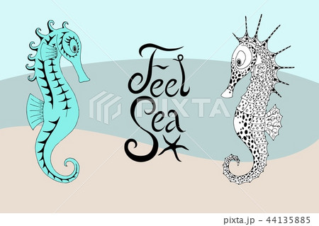 Two seahorses and the calligraphic inscription with feel 44135885