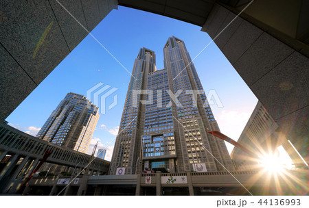 日本の東京都市景観　東京都庁と太陽光 44136993