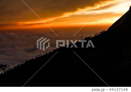 キナバル山・空・夕焼け 44137149