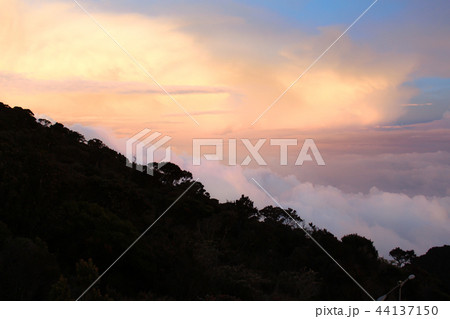 キナバル山・空・夕焼け 44137150