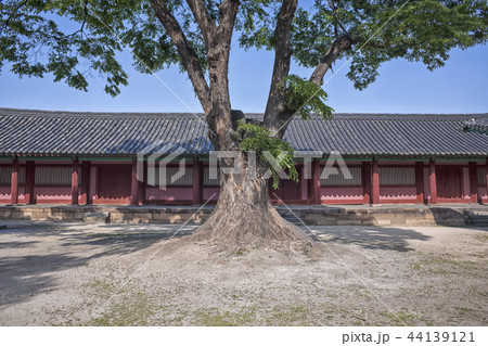 建築 古建築 宝物 44139121