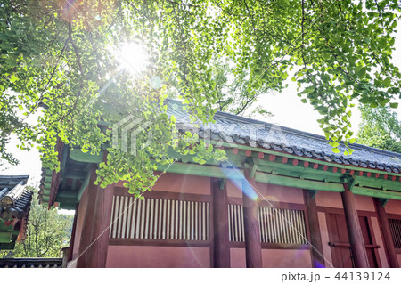 建築 古建築 宝物 44139124