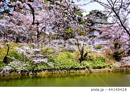 弘前城　桜　辰巳櫓 ／ 二の丸　2018年 弘前さくら祭 （ 青森県 弘前市 下白銀町 ） 44140428