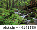 初秋の尚仁沢 44141580