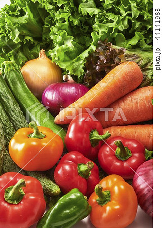 新鮮野菜の集合 新鮮野菜の集合 44141983