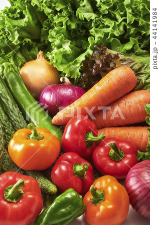 新鮮野菜の集合 新鮮野菜の集合 44141984