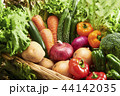 新鮮野菜の集合 44142035