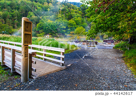 湯ノ平湿原　朝風景　【栃木県日光市湯元】 44142617