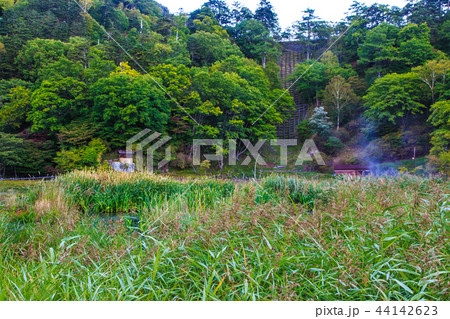 湯ノ平湿原 朝風景 【栃木県日光市湯元】 湯ノ平湿原 朝風景 【栃木県日光市湯元】 44142623