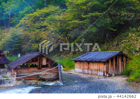 湯元温泉　源泉　朝風景　【栃木県日光市湯元】 44142662